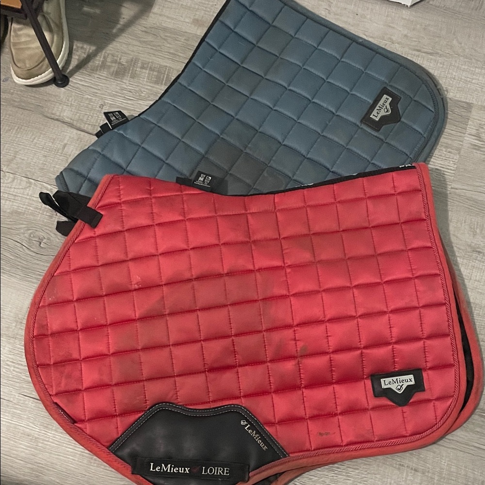 LeMieux Loire Papaya CC Large Pad